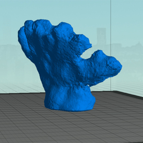 Coral 3D Print 90234