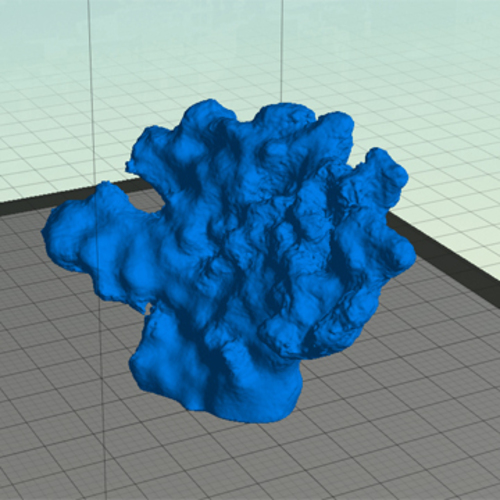 Coral 3D Print 90235