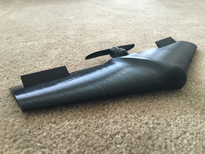 Fully Printed Flying Wing 3D Print 90318