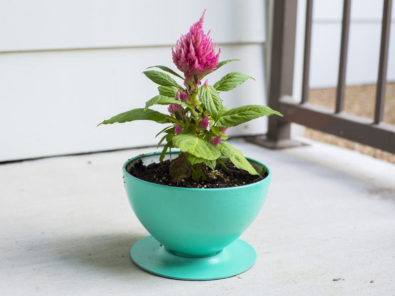 IKEA Lamp - Flower Pot Conversion