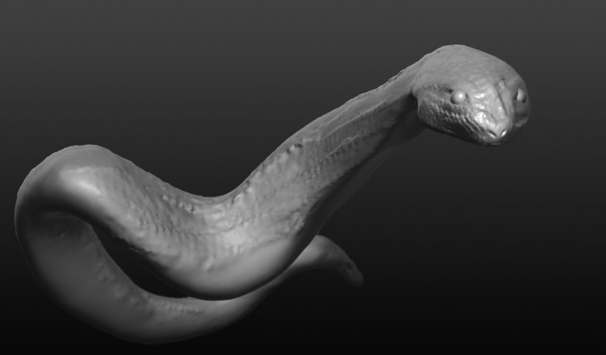 Python Snake 3D Print 90602