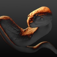 Python Snake - Thumbnail 4