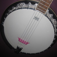 5 string banjo bridge and thumb pick - Thumbnail 2