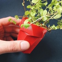 Twist Planter - Thumbnail 3