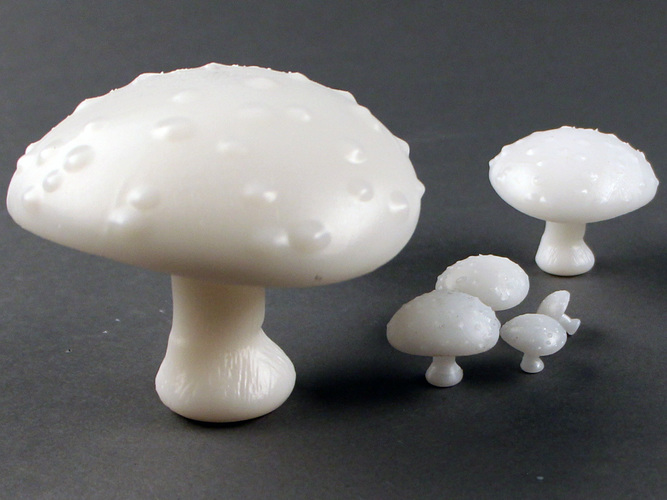Forest Mushrooms 3D Print 91097