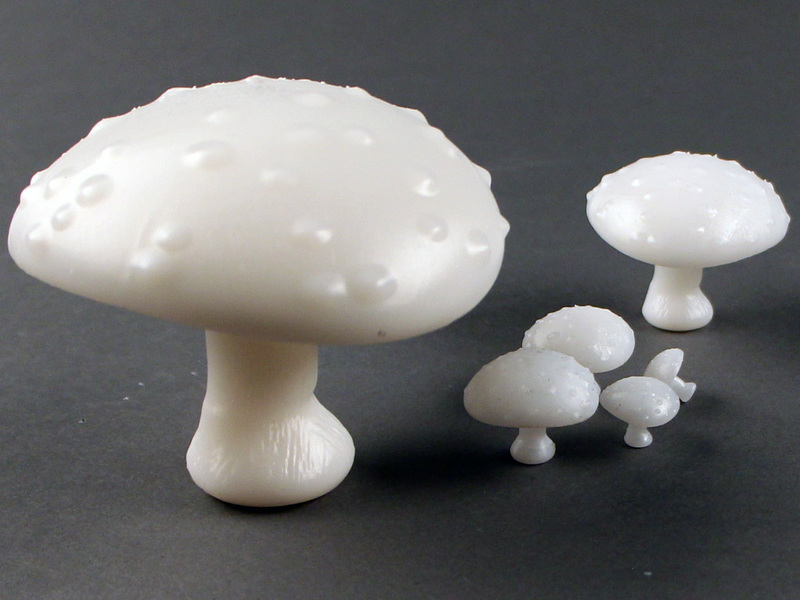 Forest Mushrooms