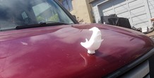 Image 91758
