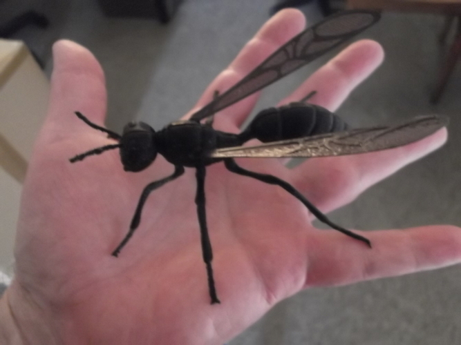 Big Wasp 3D Print 91777