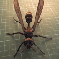 Big Wasp - Thumbnail 3