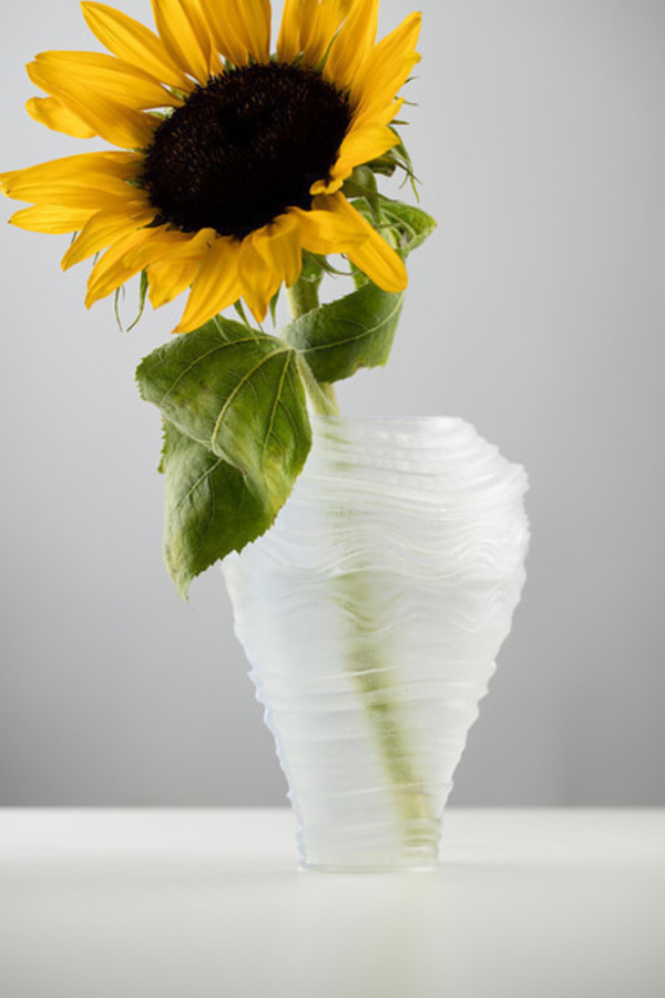 Wind Sculpted Vases
