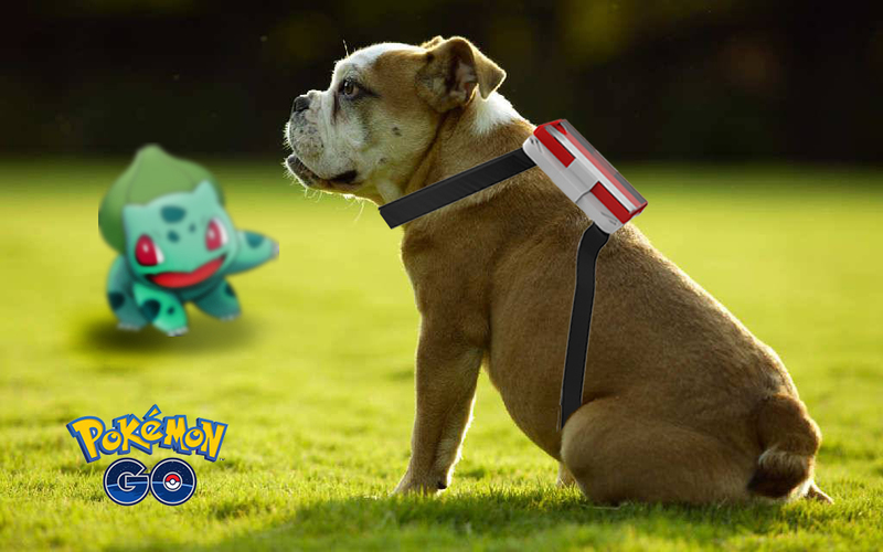 pokemon go doggysitter 3D Print 92448