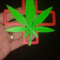Dual Extrusion- Medical Marijuana - Thumbnail 2