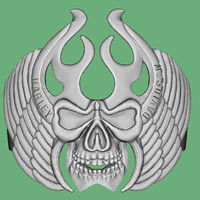 Ring - Thumbnail 1