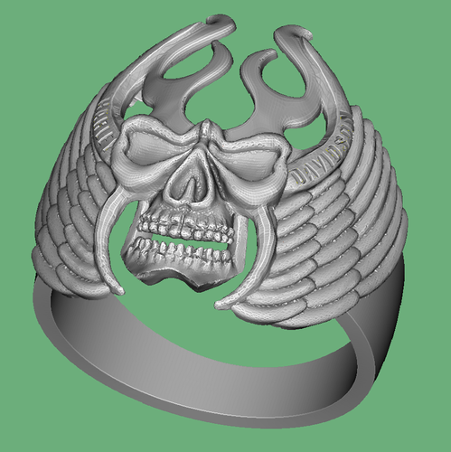 Ring 3D Print 92623