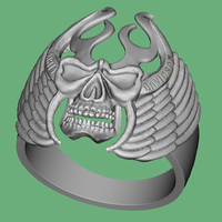 Small Ring 3D Printing 92623
