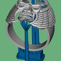 Ring - Thumbnail 3