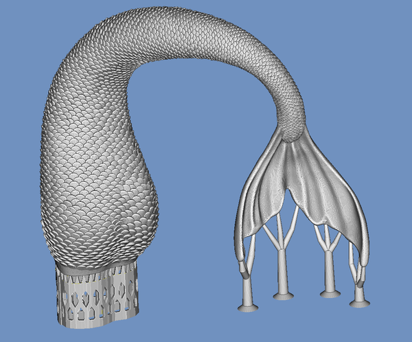 mermaid tail