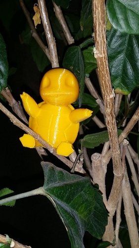 Squirtle 3D Print 92960