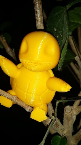 Squirtle 3D Print 92962