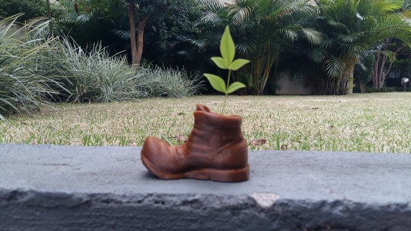 Wall-e Mini Boot Vase 3dFactory Brasil
