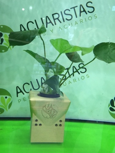 MACETERO PARA ACUARIO V2.0 3D Print 93740