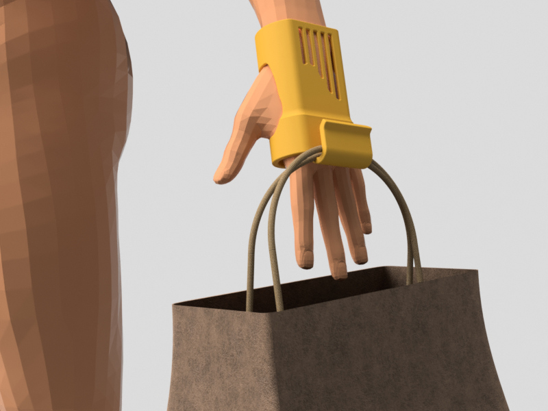 Assistant to carry bags.
