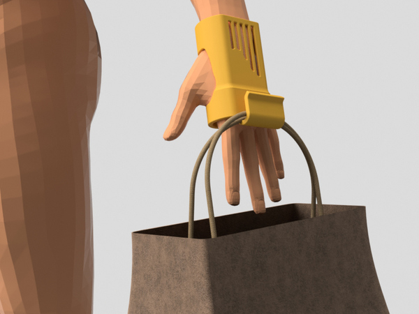 Assistant to carry bags.
