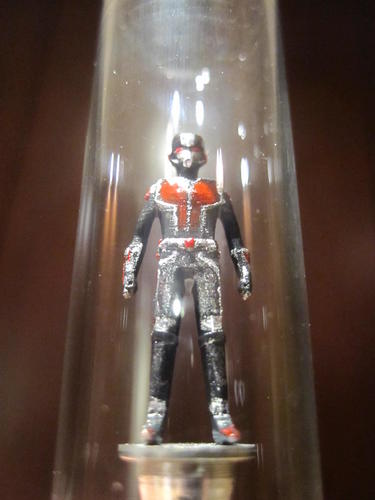 Ant-Man 3D Print 95246