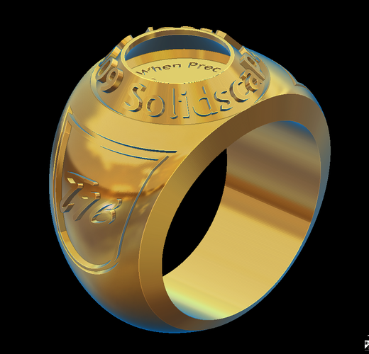 Ring model 6 3D Print 95370
