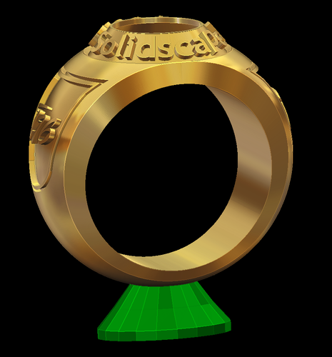 Ring model 6 3D Print 95372