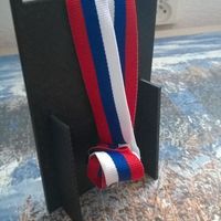 Small Medal holder 3D Printing 95998