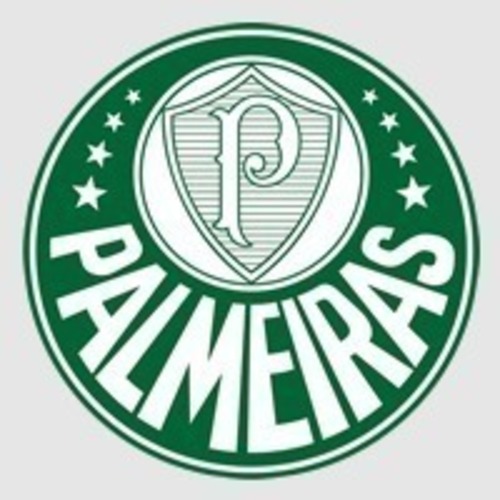 Palmeiras Football Club - Sao Paulo, Brasil 3D Print 96299