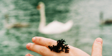 Image 96346