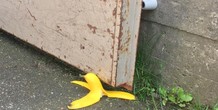 Image 96576