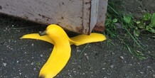 Image 96580