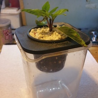 Net Pot Covers for Ikea Prusa Container - Thumbnail 1
