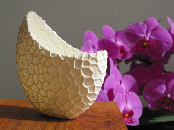 Organic flower pot / Voronoi Vase (monochrome)