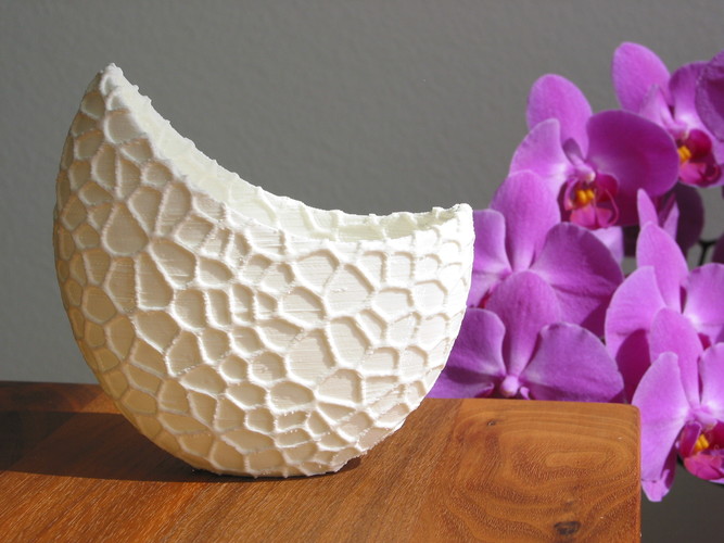 Organic flower pot / Voronoi Vase (monochrome) 3D Print 96792