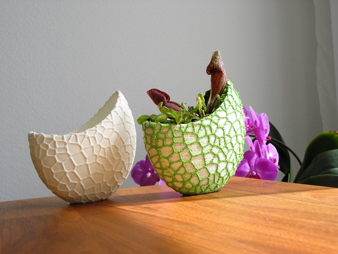 Organic flower pot / Voronoi Vase (monochrome) 3D Print 96794