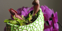Image 96800