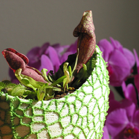 Organic flower pot / Voronoi Vase (2-color) - Thumbnail 2