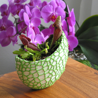 Organic flower pot / Voronoi Vase (2-color) - Thumbnail 5