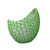 Organic flower pot / Voronoi Vase (2-color) - Thumbnail 8