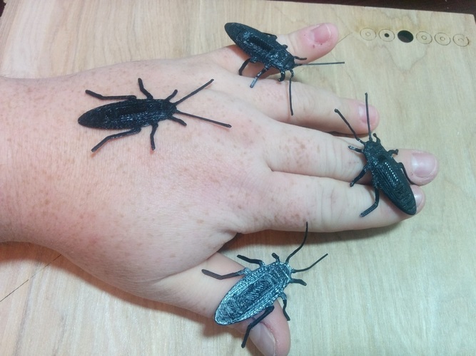 Cockroach 3D Print 96849
