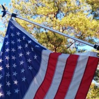 No Tangle Flag Collar kit  - Thumbnail 5