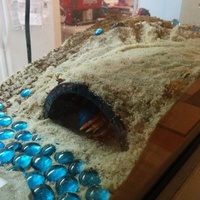 Hermit Crab Arch house - Thumbnail 2