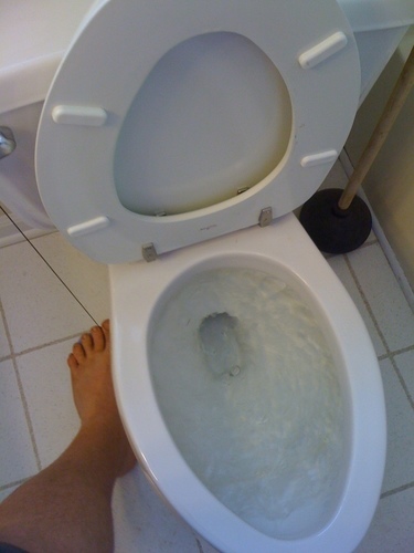 King's Toilet Bowl Pedal  3D Print 96981