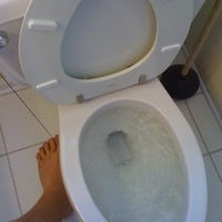 King's Toilet Bowl Pedal  - Thumbnail 5