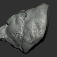 Grizzly bear bust - Thumbnail 1