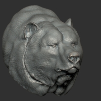 Grizzly bear bust - Thumbnail 2